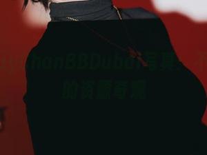 PuyPuyChanBBDubai写真：不得不说的资源奇观