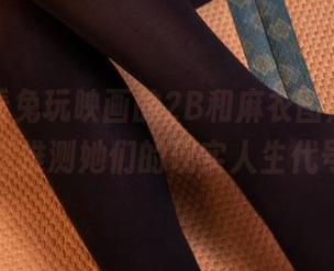 每当我看兔玩映画的2B和麻衣图片，我就默默推测她们的现实人生代号！
