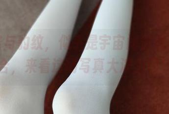 西尔酱与豹纹，似乎是宇宙间被遗忘的组合，来看这场写真大演出吧！
